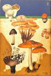 L'ATLANTE DEI FUNGHI (ITALIANO) | GIUSEPPE PACE