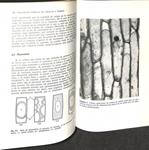 LAS PLANTAS Y EL AGUA | 9788428203043 | JAMES SUTCLIFFE