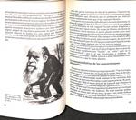 L'EVOLUCIONISME AVUI (CATALÁN). | 9788486355005 | FRANCESC NICOLAU I POUS