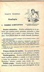 LECCIONES PROGRESIVAS DE GRAMÁTICA DE LA LENGUA CASTELLANA | PALUZIE / JOSE OSES LARUMBE