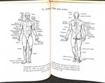 ANATOMIA Y FISIOLOGIA | DR. V. L. FERRANDIZ
