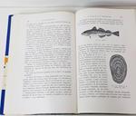 PECES EMIGRANTES . | LOPEZ, J. (BIOLOGO DEL INSTITUTO DE INVESTIGACIONES PESQUERAS)