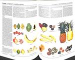 LIBRO DE COCINA. CÓMO ELEGIR, PREPARAR, COCINAR Y SERVIR BUENOS ALIMENTOS | TERENCE / CAROLINE CONRAN