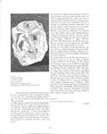 THESAURUS. L'ART ALS BISBATS DE CATALUNYA 1000 / 1800. ESTUDIS (CATALÁN). | 9788476640029 | DIVERSOS AUTORS