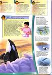 BALENES I DOFINS: ELS EXPLORADORS DE NATIONAL GEOGRAPHIC (CATALÁN). | 9788482983288 | NATIONAL GEOGRAPHIC