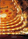EL GRAN LIBRO DEL LICEU | 9788472547926 | ROGER ALIER I AIXALA
