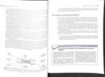 RELACIONES PUBLICAS: ENFOQUES Y TÁCTICAS | 9788478290413 | DENNIS WILCOX