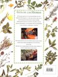 GUÍA DE LAS HIERBAS | 9788482380568 | ANDI CLEVELY