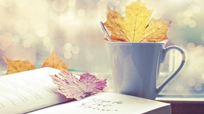 TEMPORADA OTOÑO | 