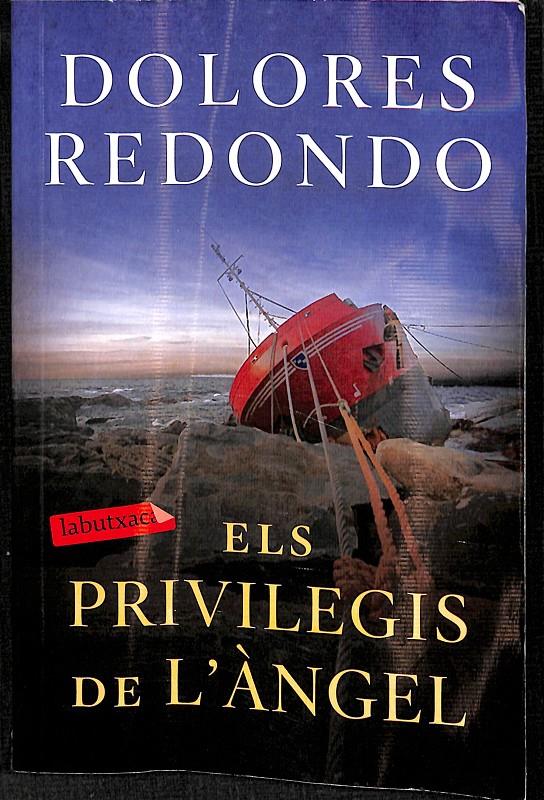 ELS PRIVILEGIS DE L'ÀNGEL (CATAALÁN) | 9788417423971 | REDONDO, DOLORES