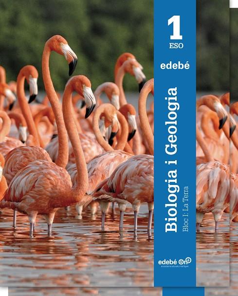 BIOLOGIA I GEOLOGIA 1 ESO. (CATALÁN) | EDEBÉ, OBRA COLECTIVA