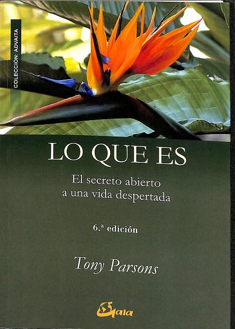 LO QUE ES | PARSON, TONY