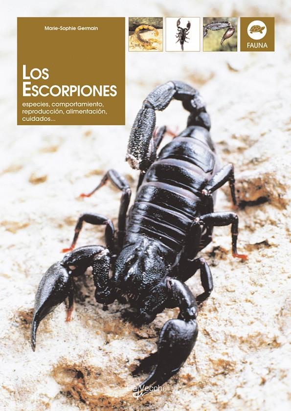 LOS ESCORPIONES | 9788431537135 | GERMAIN, MARIE-SOPHIE