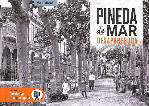 PINEDA DE MAR DESAPAREGUDA | OLEGUER MASSAGUER CASSOL; FRANCESC ROLDAN