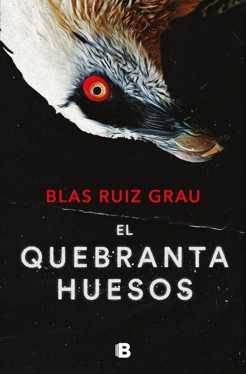 EL QUEBRANTAHUESOS (NICOLÁS VALDÉS 4) | RUIZ GRAU, BLAS