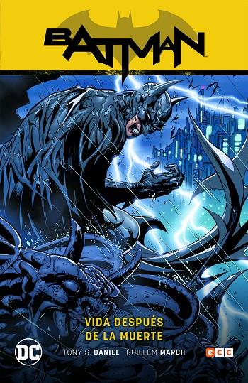 BATMAN VOL. 10: VIDA DESPUÉS DE LA MUERTE (BATMAN SAGA - RENACIDO PARTE 4) | S. DANIEL, TONY/HIGGINS, KYLE/HINE, DAVID/DESNOYER, BRAD/GUINALDO, ANDRÉS/FERGUSON, LEE/MCCARTHY, TR