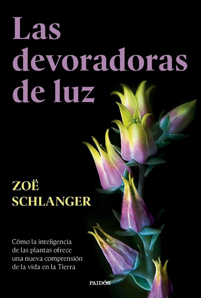 LAS DEVORADORAS DE LUZ | SCHLANGER, ZOË