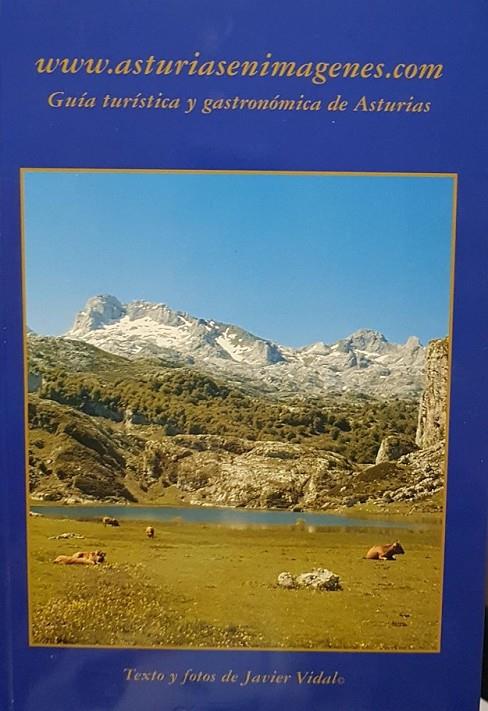 GUIA TÚRISTICA Y GASTRONOMICA DE ASTURIAS | 9788461167890 | VIDAL LEÓN, FRANCISCO JAVIER