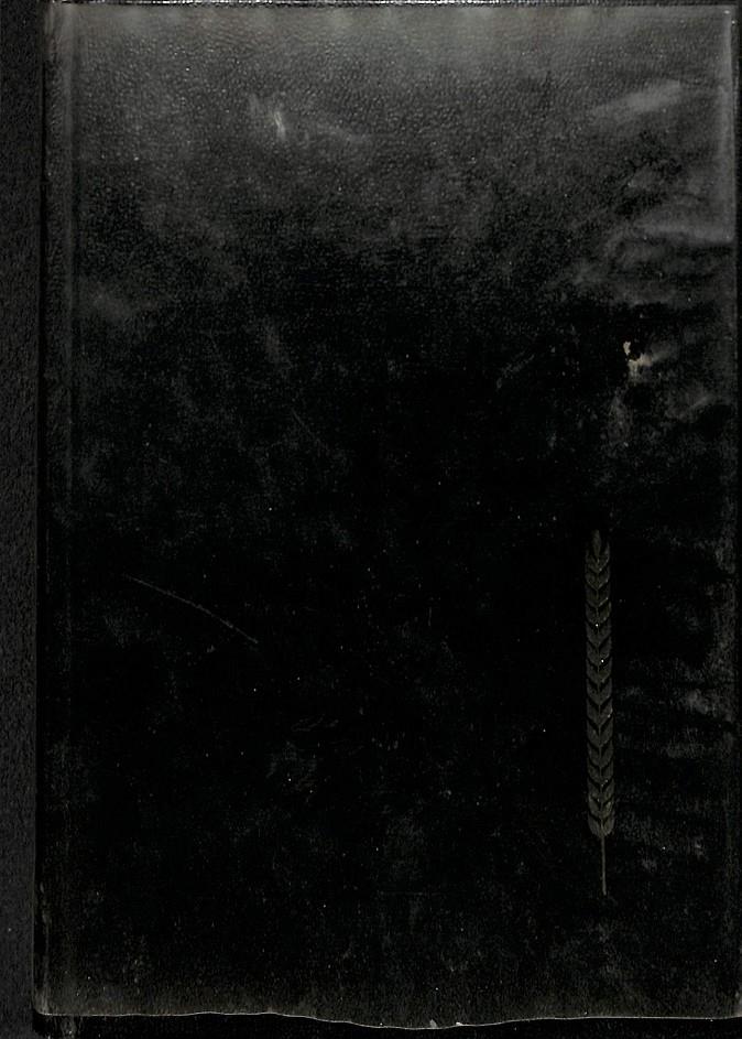 MARTIN CHUZZLEWIT | 9788402042716 | DICKENS CHARLES / PIÑEIRO JAIME