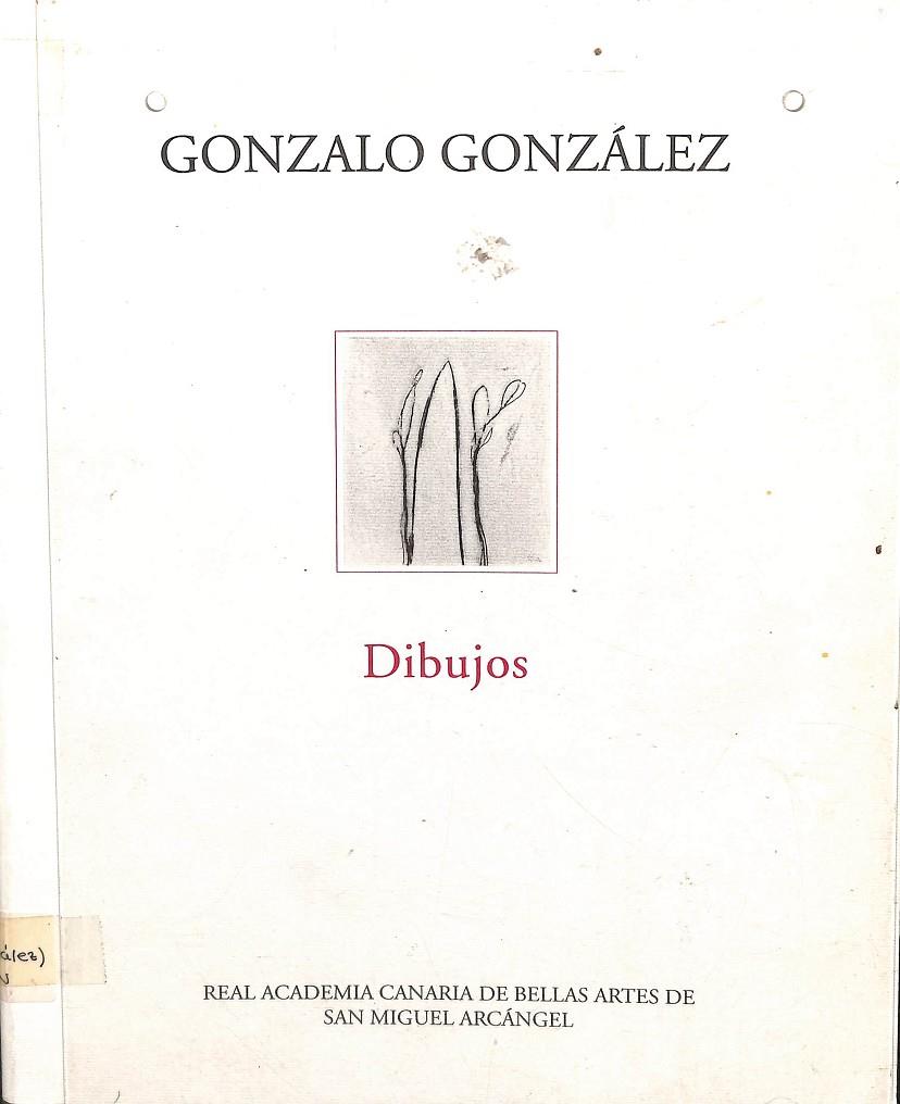 GONZALO GONZÁLEZ - DIBUJOS SOBRE PAPEL 1993-1996 | PEDRO GONZÁLEZ GONZÁLEZ - EMILIA MARTIN FIERRO