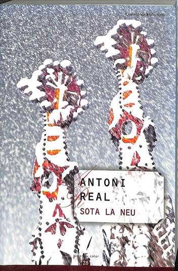 SOTA LA NEU (CATALÁN) | 9788497916530 | REAL MARTÍ, ANTONI