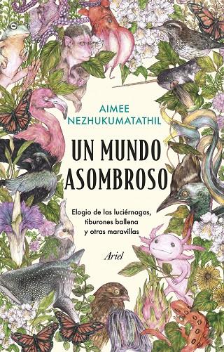 UN MUNDO ASOMBROSO | NEZHUKUMATATHIL, AIMEE