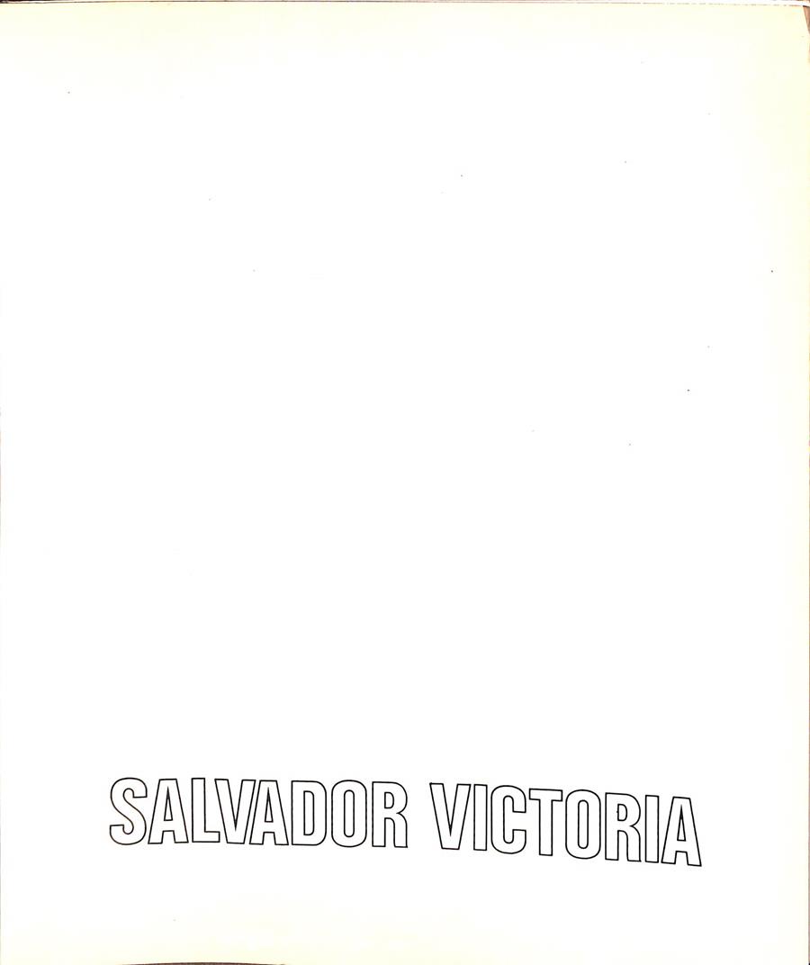 PINTURAS RECIENTES | SALVADOR VICTORIA