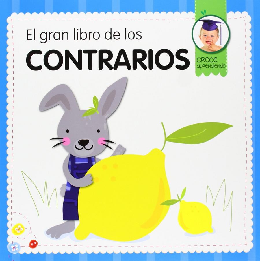 EL GRAN LIBRO DE LOS CONTRARIOS | 9788492882908 | DANSA, MARTA