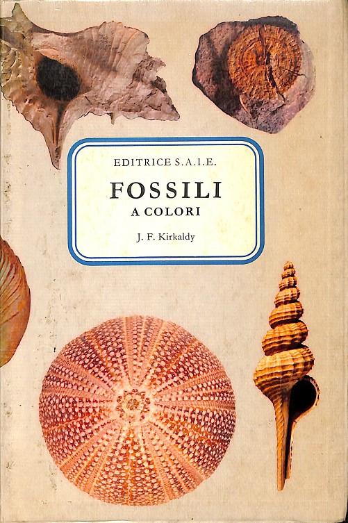FOSSILI | J.F.KIRKALDY