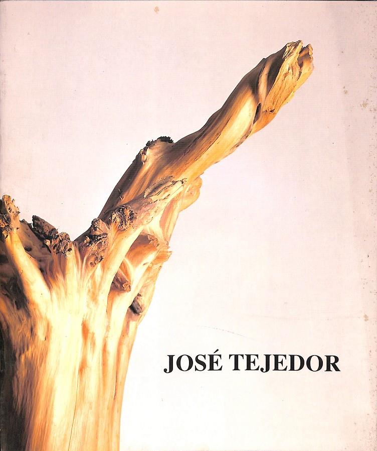 JOSÉ TEJEDOR DEL 5 DE MARÇ AL 6 D'ABRIL DE 1991 (CATALÁN) | JOSÉ TEJEDOR