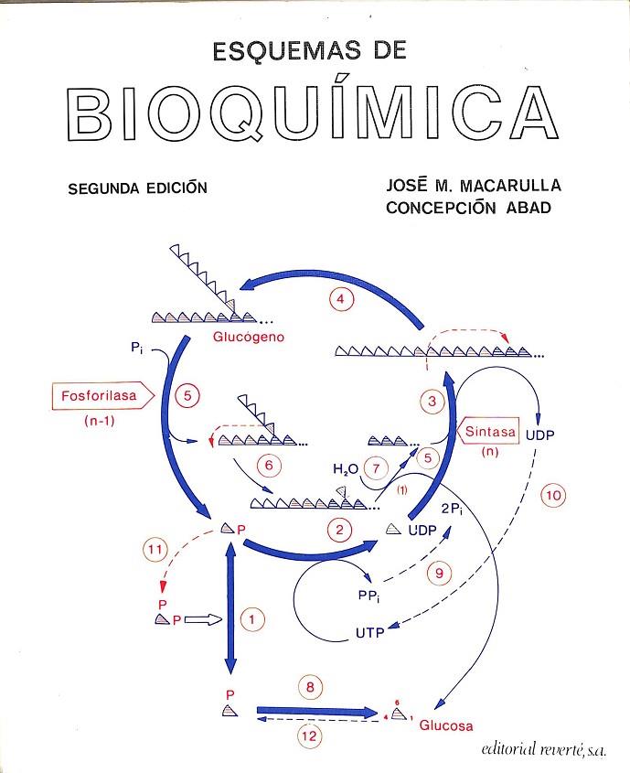 ESQUEMAS DE BIOQUÍMICA | JOSÉ M.MACARULLA - CONCEPCIÓN ABAD