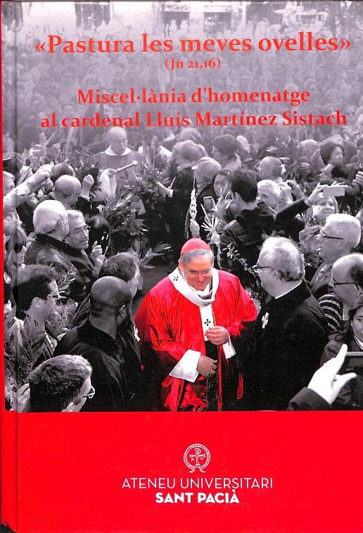 PASTURA LES MEVES OVELLES (JN 21,16) MISCEL·LÀNIA D'HOMENATGE AL CARDENAL LLUÍS MARTÍNEZ SISTACH (CATALÁN) | 9788494484025