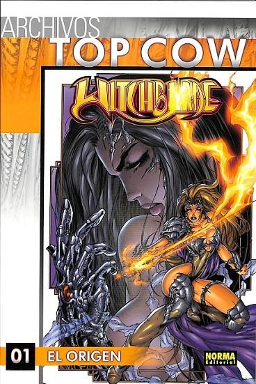 ARCHIVOS TOP COW: WITCHBLADE 01 | 9788498478938 | WOHL, DAVID / TURNER, MICHAEL
