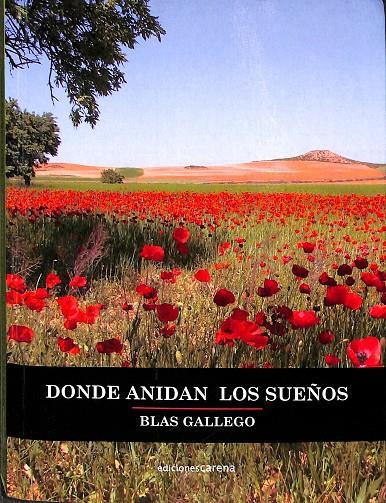 DONDE ANIDAN LOS SUEÑOS | GALLEGO IGLESIAS, BLAS
