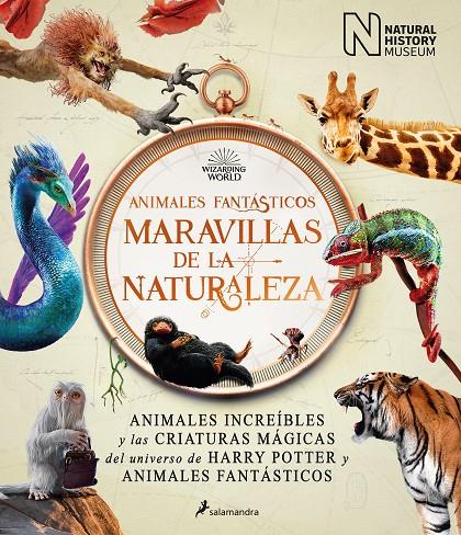 ANIMALES FANTÁSTICOS -  MARAVILLAS DE LA NATURALEZA | THE NATIONAL HISTORY MUSEUM