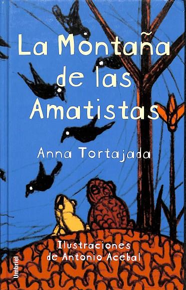 LA MONTAÑA DE LAS AMATISTAS | ANNA TORTAJADA