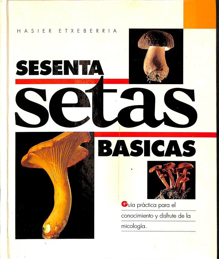 SESENTA SETAS BASICAS | HASIER ETXEBARRIA