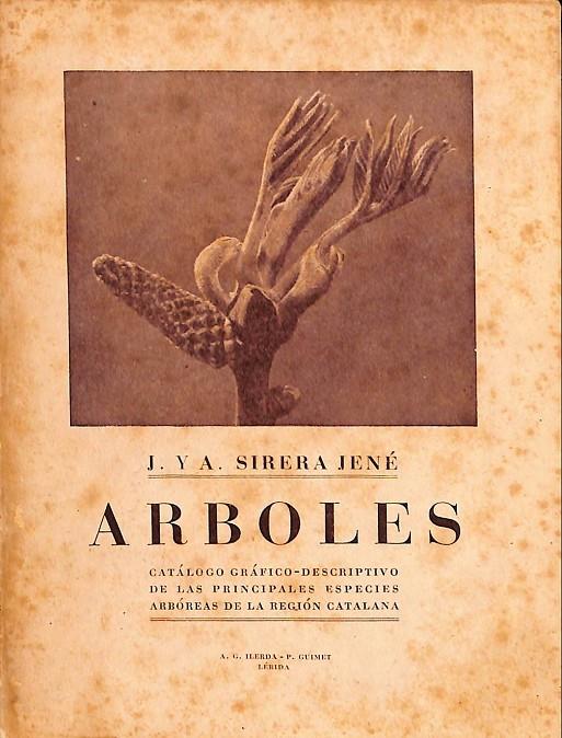 ARBOLES | V.V.A