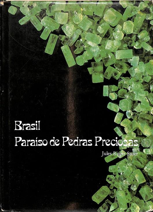 BRAIL PARAÍSO DE PEDRAS PRECIOSAS (PORTUGUÉS) | JULES ROGER SAUER