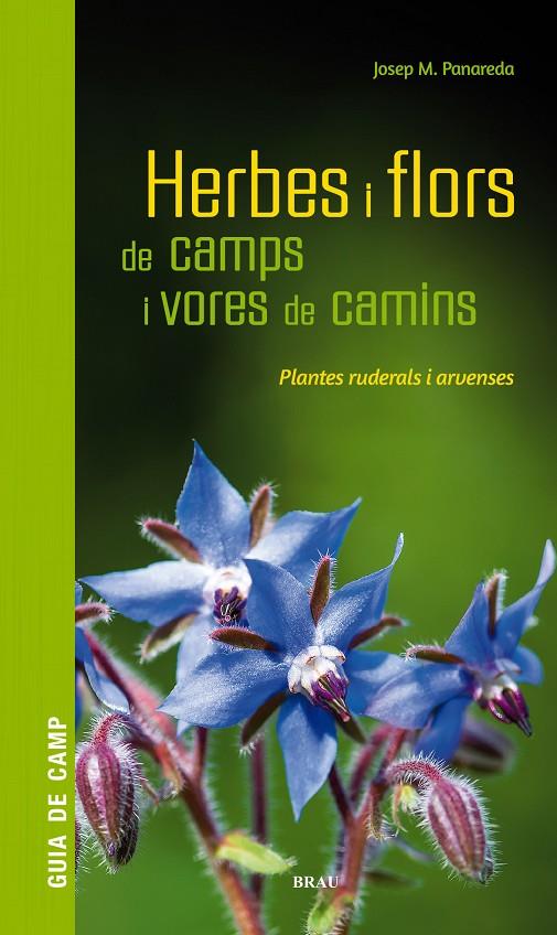 HERBES I FLORS DE CAMPS I VORES DE CAMINS (CATALÁN) | PANAREDA CLOPÉS, JOSEP M
