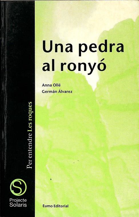 UNA PEDRA AL RONYÓ (CATALÁN) | 9788476021989 | ARRAY / ARRAY