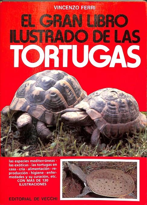 EL GRAN LIBRO DE LAS TORTUGAS | 9788431507671 | FERRI, VINCENZO