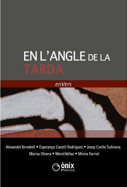 EN L'ANGLE DE LA TARDA  (CATALÁN) | 9788494676079 | A.A.V.V.