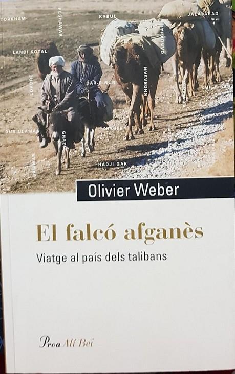 EL FALCÓ AFGANÈS (CATALÁN) | 9788484373629 | WEBER, OLIVIER