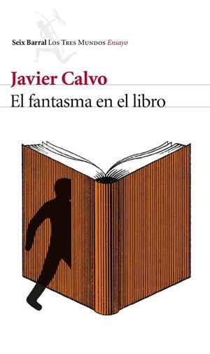 EL FANTASMA EN EL LIBRO | CALVO PERALES, JAVIER
