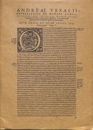 ANDREAE VESAL II 2    257   7  LAMINAS  | V.V.A