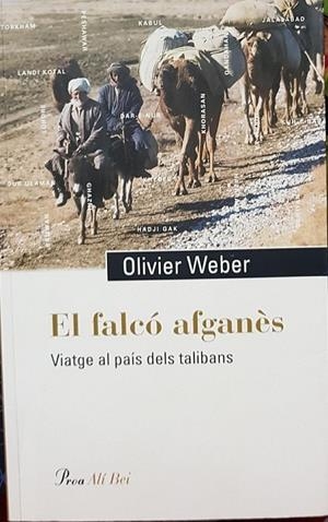 EL FALCÓ AFGANÈS (CATALÁN) | WEBER, OLIVIER