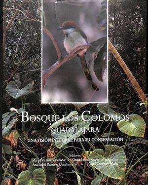 RUTA HACIA EL MAR DE NUBES | MENDOZA CORRAL, SANTIAGO