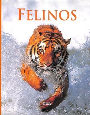 FELINOS | SEIDENSTICKER, JOHN / LUMPKIN, SUSAN / LUMPKIN, SUSAN