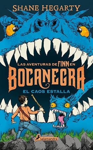 BOCANEGRA III | HEGARTY, SHANE